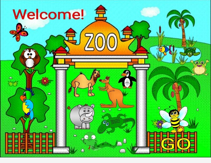 animals zoo